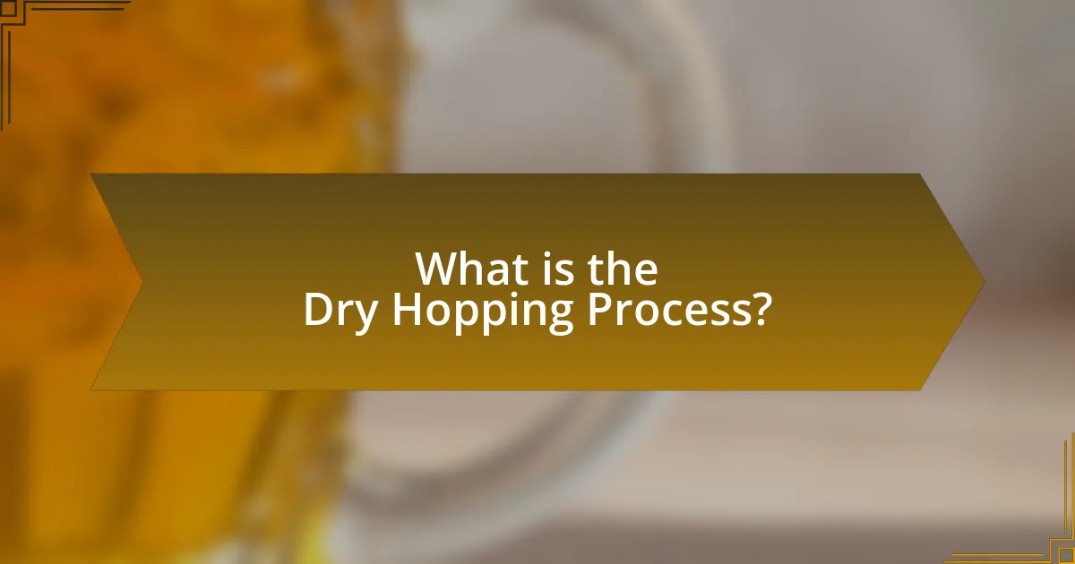 What is the Dry Hopping Process?